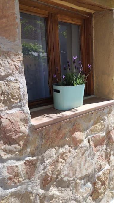 Casa Rural El Olivo Puigmoreno エクステリア 写真