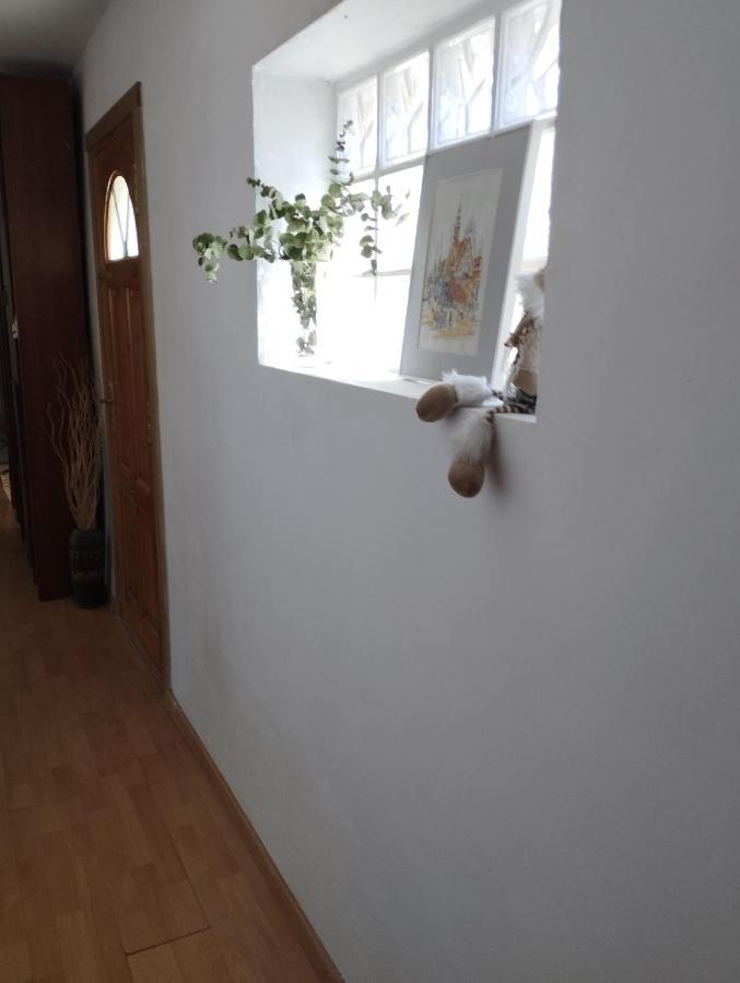 Casa Rural El Olivo Puigmoreno エクステリア 写真
