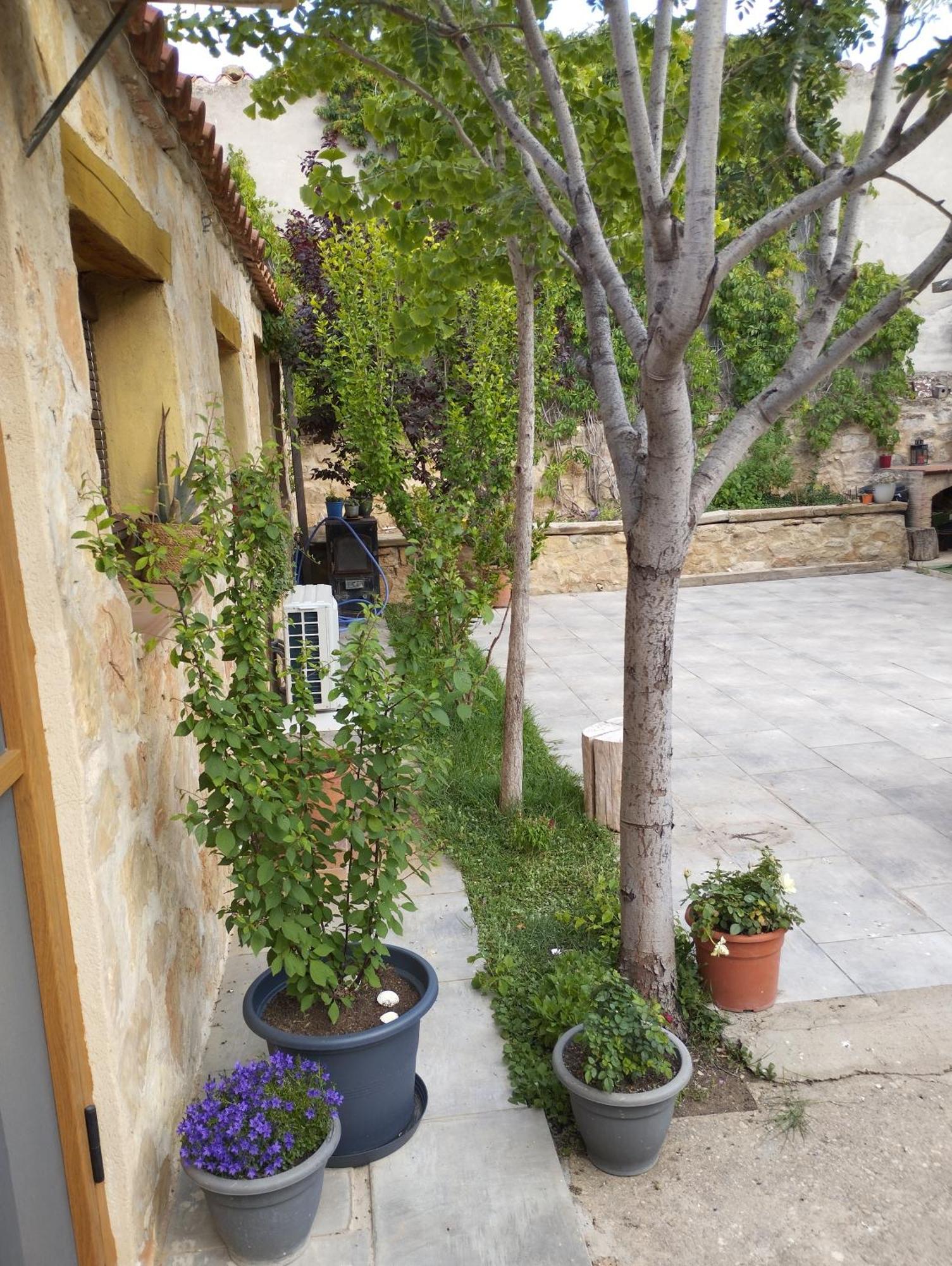 Casa Rural El Olivo Puigmoreno エクステリア 写真